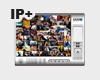 IP+ licence